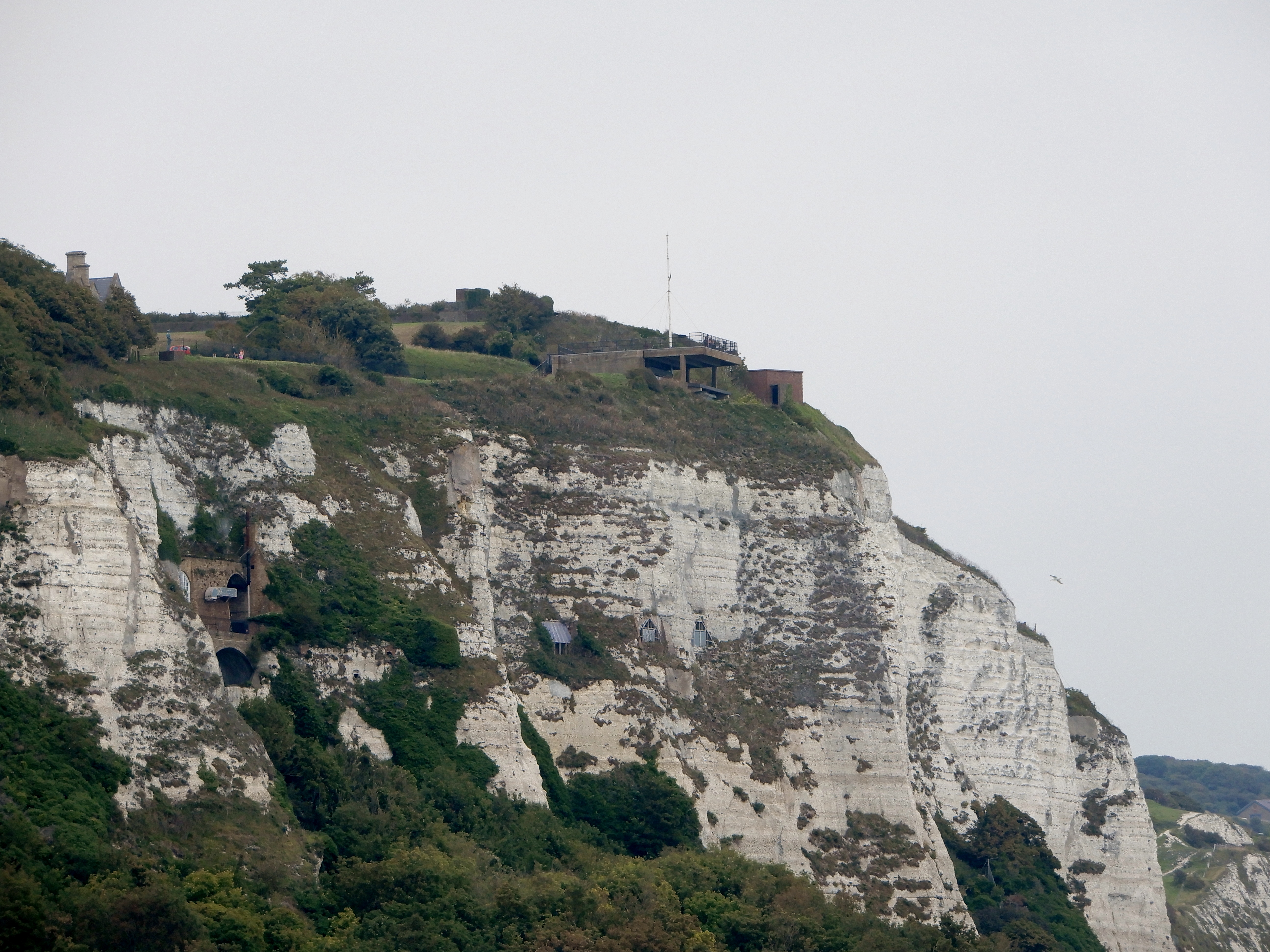 私の撮ったホワイトクリフ White Cliffs Of Dover ギャラリー イグレックの日記帳 3